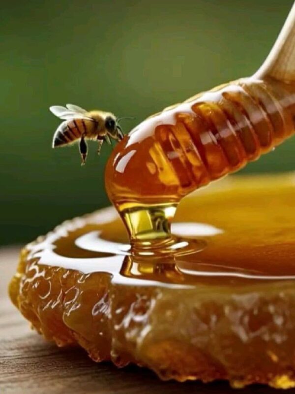 MIEL PUR NON BRULE 1/2 LITRE